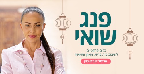  יסודות הפנג שואי | אביטל לוביא-כהן