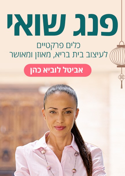 יסודות הפנג שואי