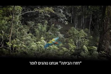 Promoאיווסקה _Heb_Sub.mp4