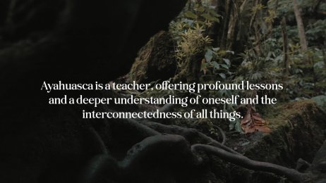 HASJ - EPISODE 1 -MASTER-Colored (2).mp4